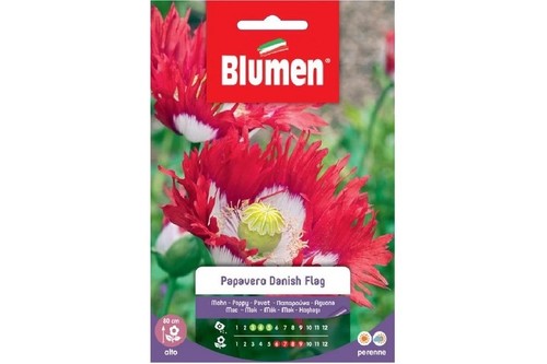 Blumen semi papavero danish - semi,