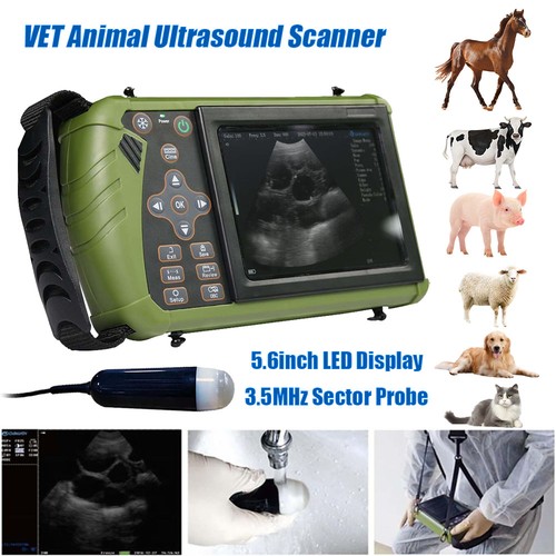 Dawei macchina ultrasuoni - dawei,
