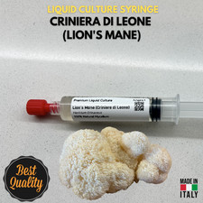 Coltura Liquida Lion's Mane