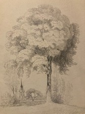 Bella Disegno Matita Carta XIX