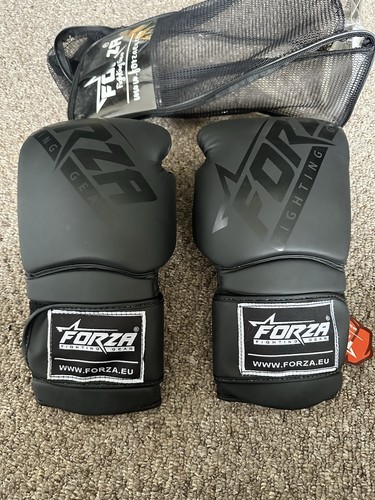 Guantoni boxe edizione - da,