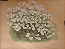 Set 3 stampe antiche