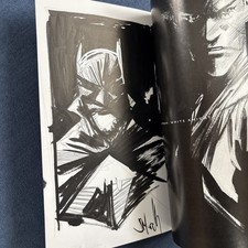Batman: Cavaliere Bianco TPB