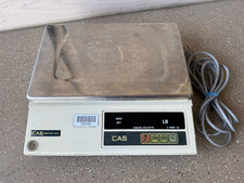 CAS Angel 15D POS Interface