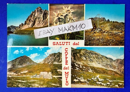 Cartolina foto saluti da - cartolina,