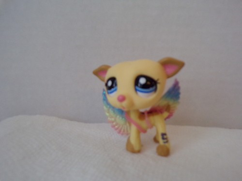 Littlest pet - littlest,