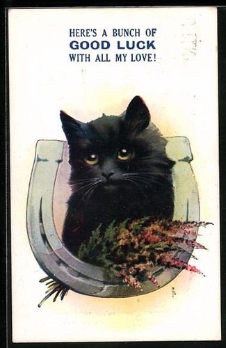 Cartolina gatto nero come - cartolina,