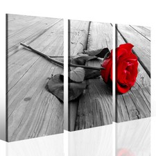 Quadri moderni rosa rossa Red