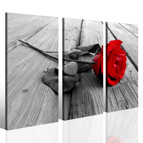 Quadri moderni rosa rossa red - quadri,