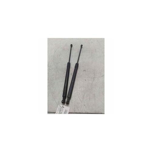 Coppia pistoncini aste - , di