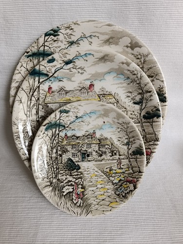 Piatti inglesi country - piatti,