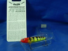 Lipless Fariox Milo fever