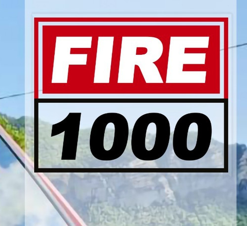 Vetrofania speculare fire 1000 - vetrofania,