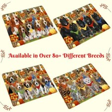 Festa autunnale raduno cane