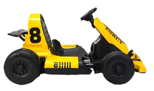 Kart elettrico 24v - go, per