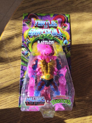 Turtles grayskull tmnt - grayskull,