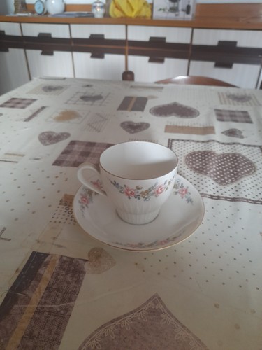 Set tazzine the - tazzine,