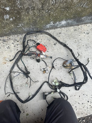 Cablaggio elettrico impianto - elettrico,