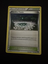 Carta Pokemon Allenatore