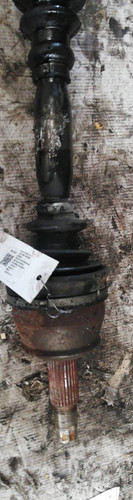 46307306 semialbero ant - semialbero,