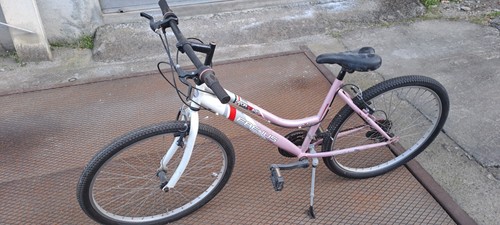 Masciaghi olanda bici per - 26",