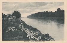 FIRENZE - CARTOLINA - SULLE RIVE DELL 'ARNO - VIAGGIATA PER CALTAGIRONE(CT) 1924