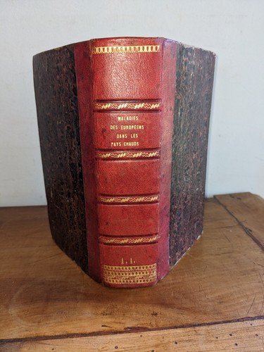 Vecchio libro saggio sulle - libro,