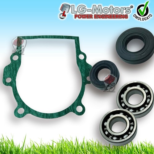 Kit revisione motore paraoli - revisione,