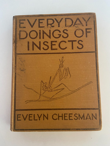 Vintage book everyday - vintage,