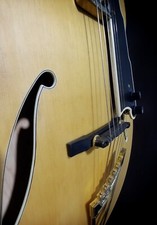 chitarra jazz D'Angelico