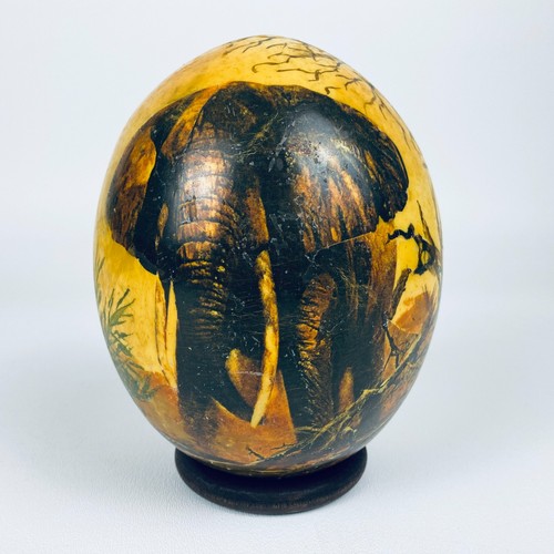 Scena elefante uovo struzzo - di,