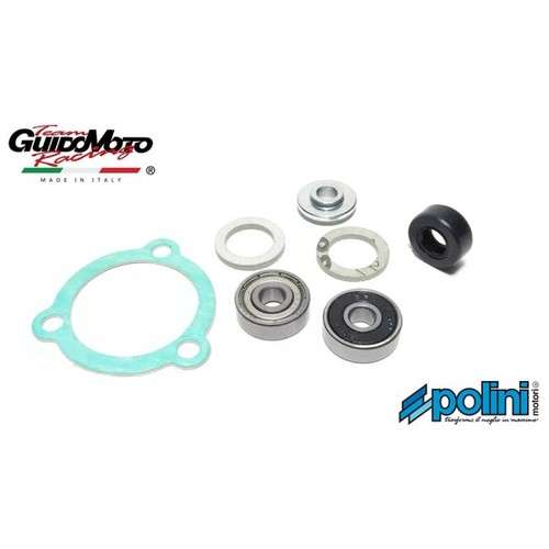 Revisione pompa acqua minimoto - revisione,