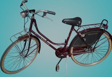 TAURUS Bicicletta donna