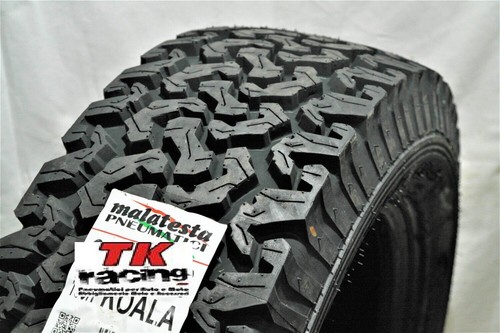 255 r18 105v malatesta - 105v,