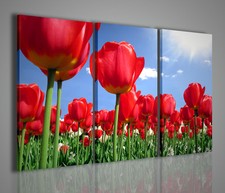 QUADRI MODERNI TULIPANI QUADRO