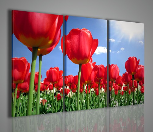 Quadri moderni tulipani - quadri, quadro