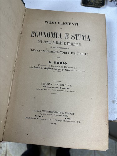 B36 economia forestale borio - b36,