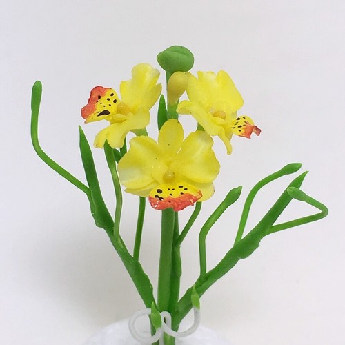 Fiore giallo vanda - giallo,
