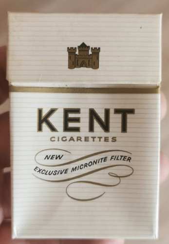 Kent micronite filter - kent,