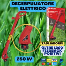 DECESPUGLIATORE ELETTRICO