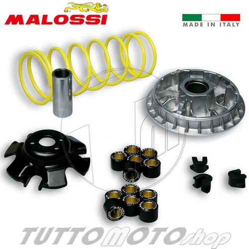 5113892 variatore malossi - 5113892,
