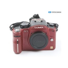 Panasonic Lumix DMC-G1 + C