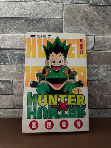 Hunter vol 1st - hunter,