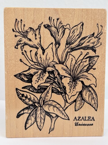 Timbro vintage psx azalea - timbro,
