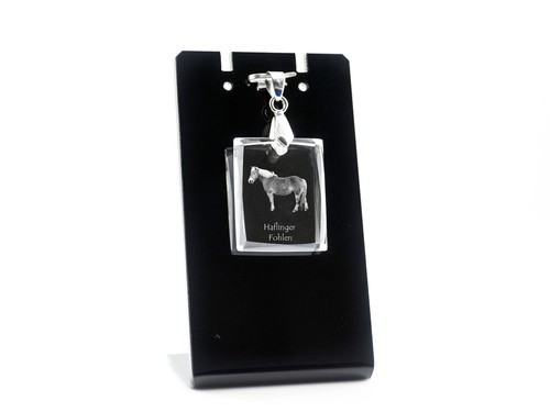 Haflinger fohlen pendente - fohlen,