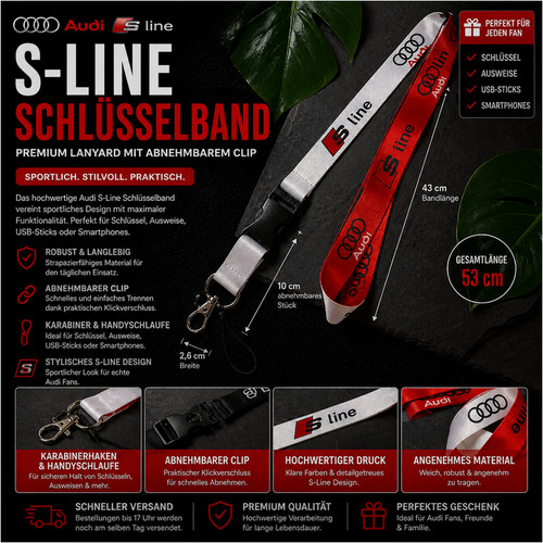 Portachiavi audi line - s-line, /