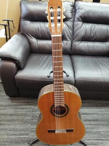 Takamine 310 chitarra - no.310,