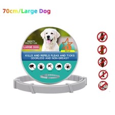 Collare cane anti - cane, e