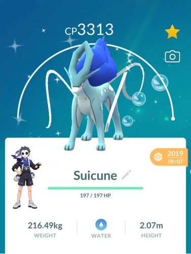 Shiny suicune 2019 livello - shiny, 50