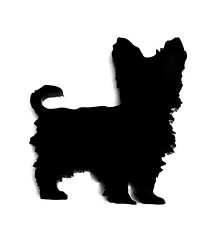 Yorkshire Terrier Cane Calamita Frigo IN Nero Con Sacchetto Regalo